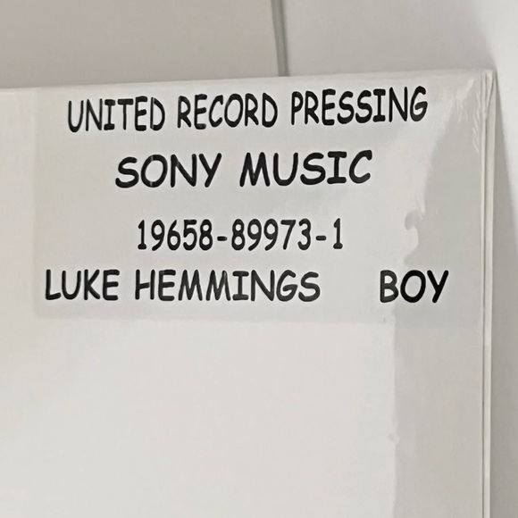 Luke Hemmings Boy Limited Edition Signed & Numbered Test Pressing Vinyl 384/750 - Picture 3 of 6